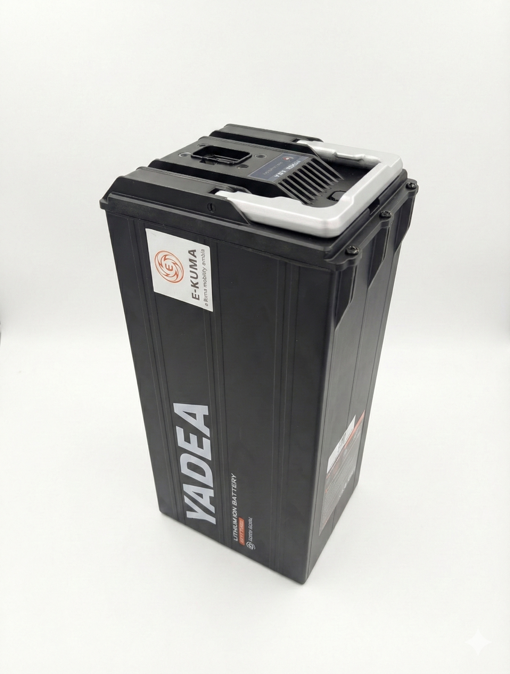 Original Yadea Keeness Akku